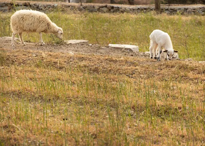 Holiday home Nymph Klido *